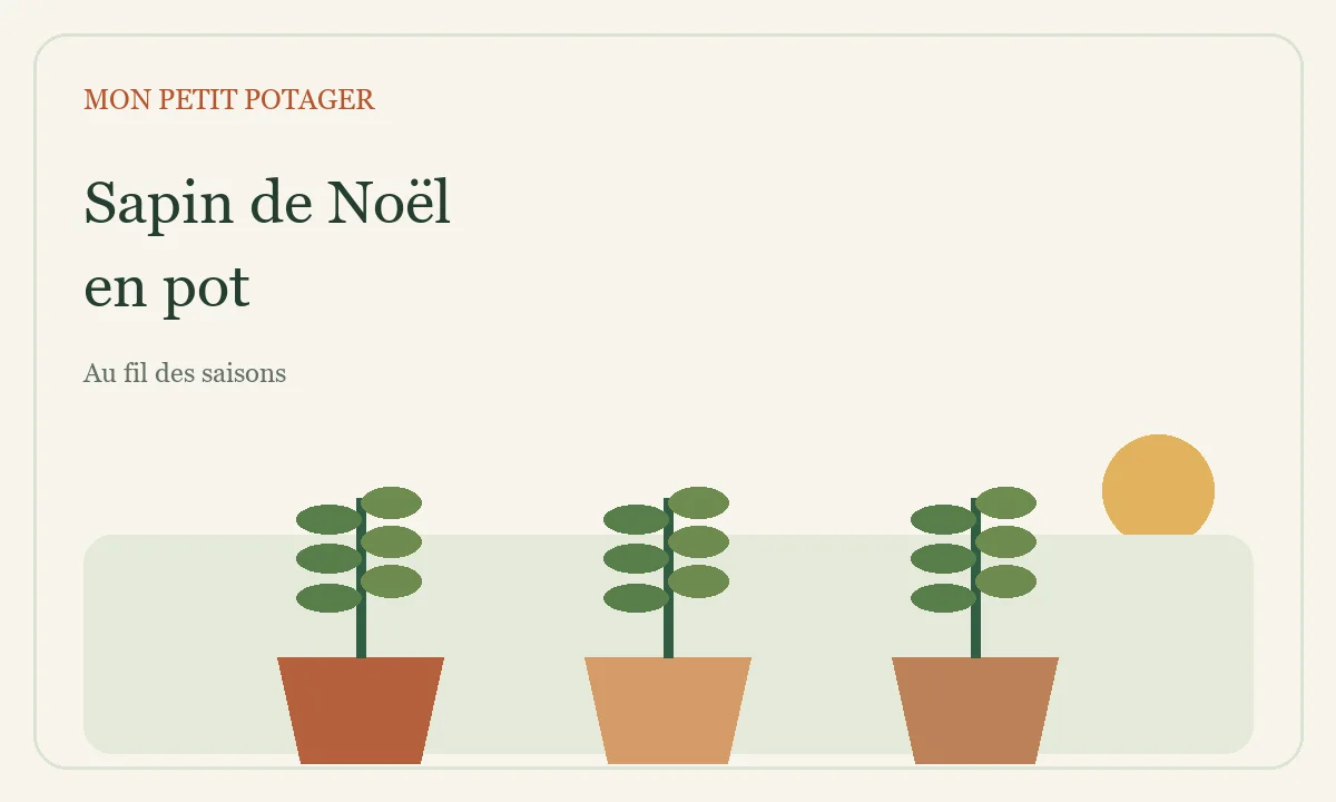 Illustration : Sapin de Noël en pot : le choisir, le garder, le replanter